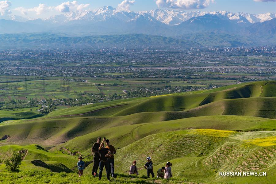Первый проект сотрудничества Китая и Таджикистана в области тепличного хозяйства