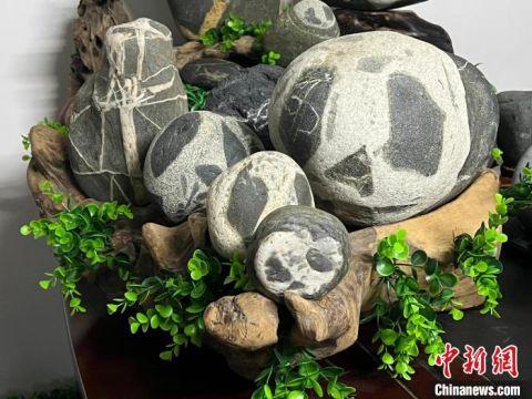 Китаец собрал 300 речных камней в виде большой панды