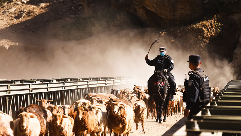 Синьцзянская полиция охраняет пастухов во время перегона скота
