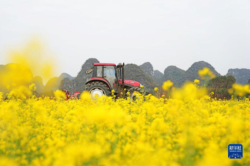 Китайские фермеры готовятся к весенним сельскохозяйственным работам