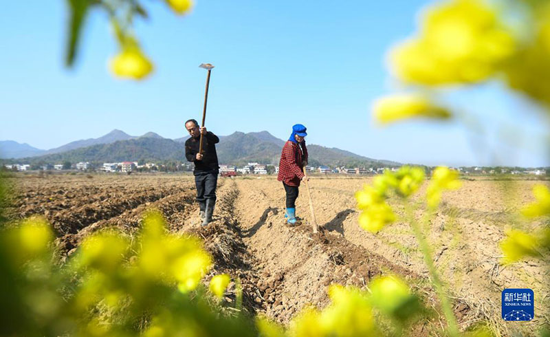 Китайские фермеры готовятся к весенним сельскохозяйственным работам