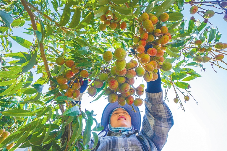 В Китае бурно развивается тропическое сельское хозяйство
