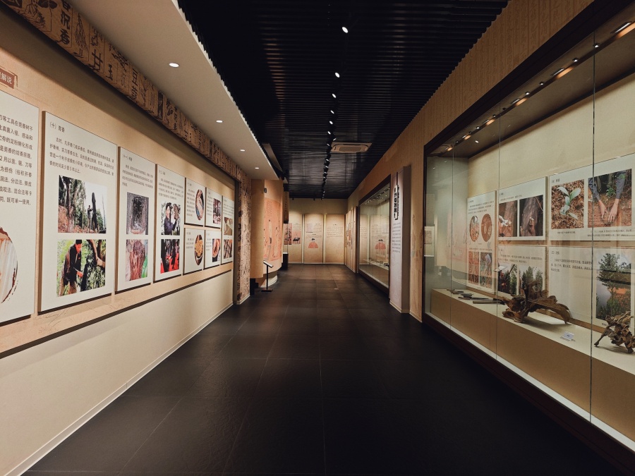 Аквилария – дерево, что рождает дивный аромат