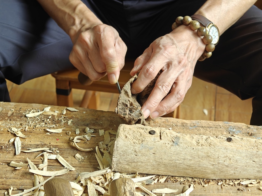 Аквилария – дерево, что рождает дивный аромат