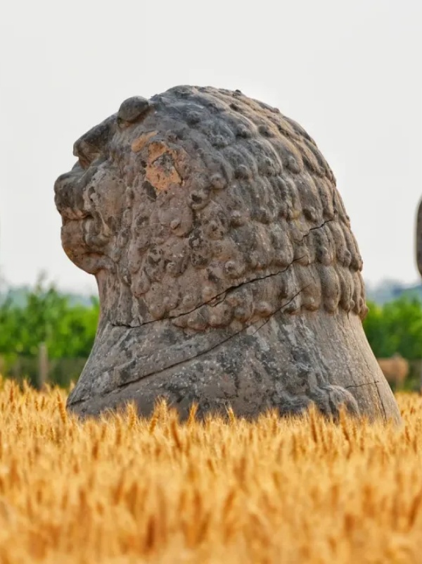 Тысячелетние каменные стражи среди пшеничных полей в Гунъи