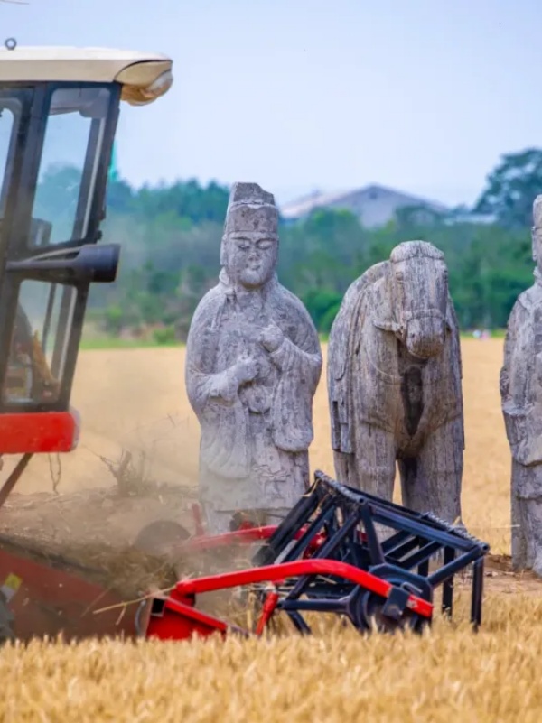 Тысячелетние каменные стражи среди пшеничных полей в Гунъи