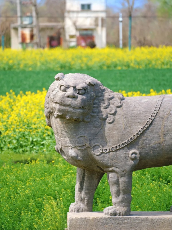 Тысячелетние каменные стражи среди пшеничных полей в Гунъи