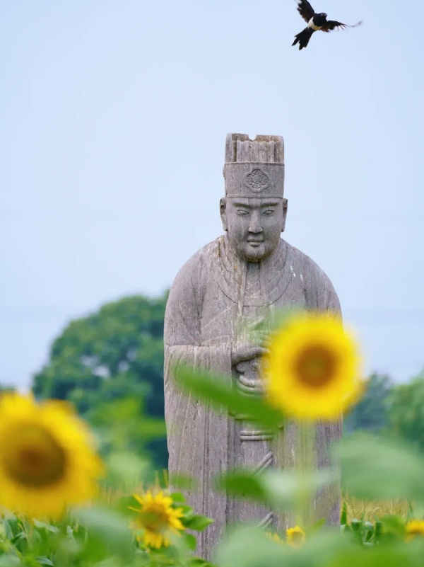 Тысячелетние каменные стражи среди пшеничных полей в Гунъи