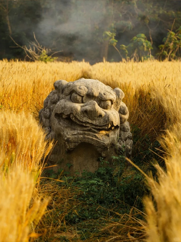 Тысячелетние каменные стражи среди пшеничных полей в Гунъи