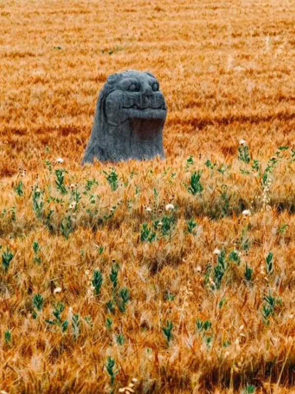 Тысячелетние каменные стражи среди пшеничных полей в Гунъи