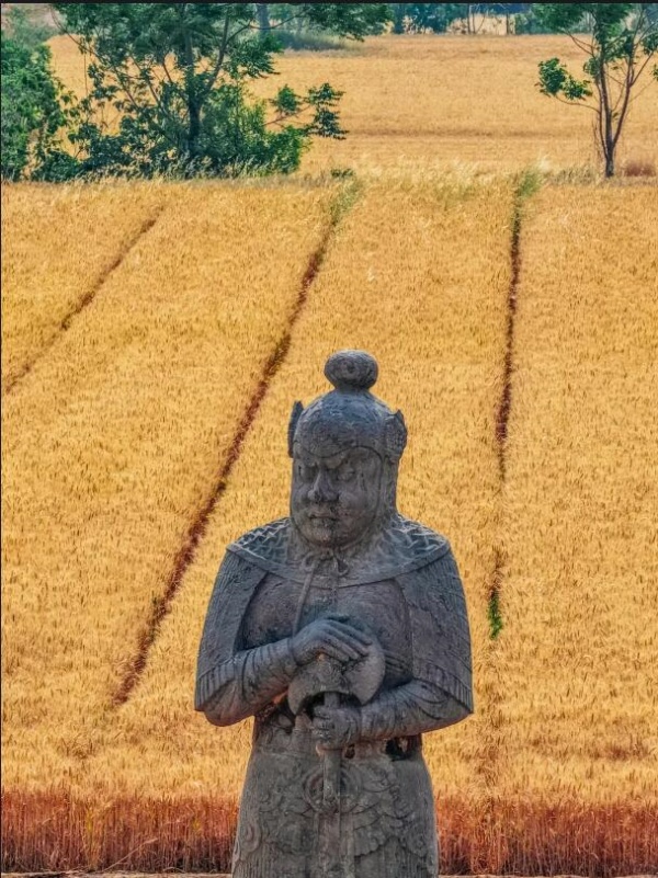 Тысячелетние каменные стражи среди пшеничных полей в Гунъи