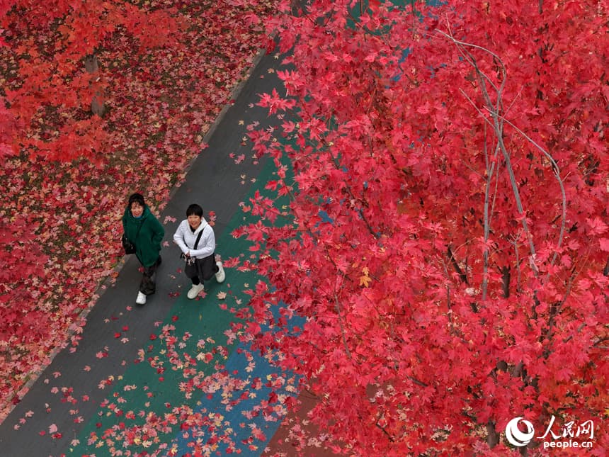 Осень украсила парк в городе Чанчунь