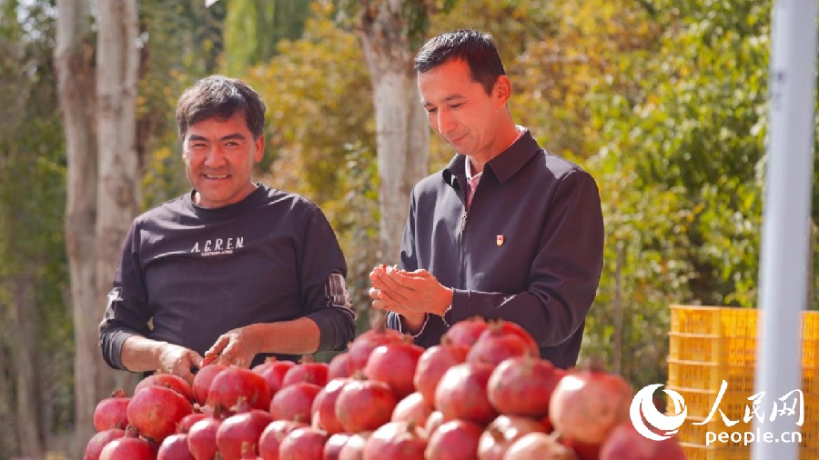 В синьцзянской деревне гранаты стали плодами процветания