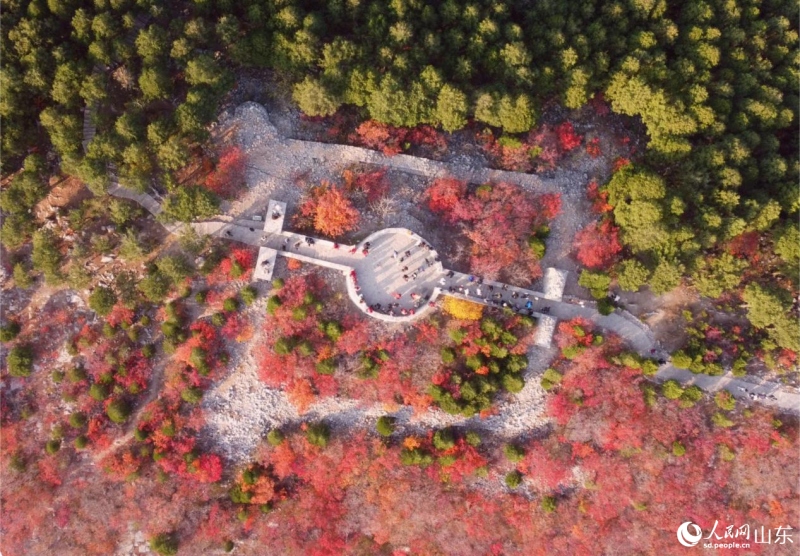 Цзинань активно развивает сеть городских экологических маршрутов