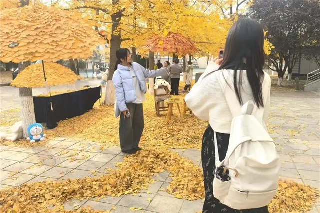 В Даляне уборщицы университета устроили осеннюю сказку из листьев гинкго