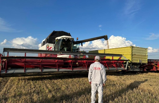 «Путешествие» пшеницы из Центральной Азии в Китай