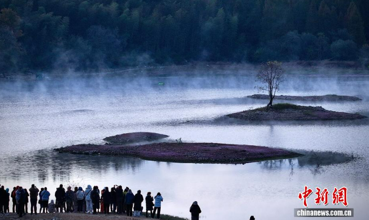 Зимний туман превратил озеро Цишу в пейзаж тушью