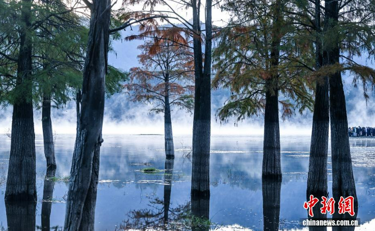 Зимний туман превратил озеро Цишу в пейзаж тушью
