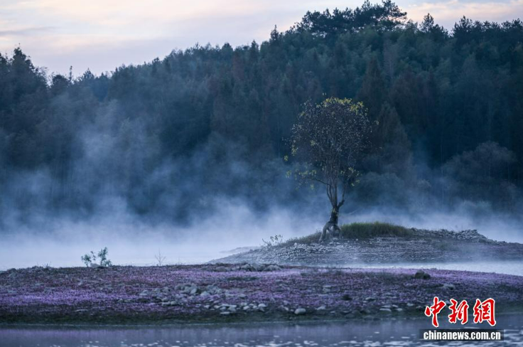 Зимний туман превратил озеро Цишу в пейзаж тушью