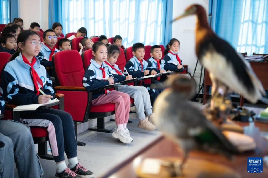 В сельской школе на востоке Китая детям прививают любовь к природе и учат беречь водно-болотные угодья