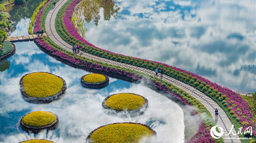 Красота сезонного цветения на горе Цинсю в Гуанси