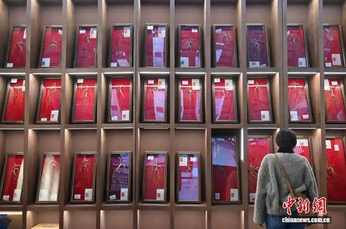 Выставка в Цзилине представила редкие образцы женьшеня