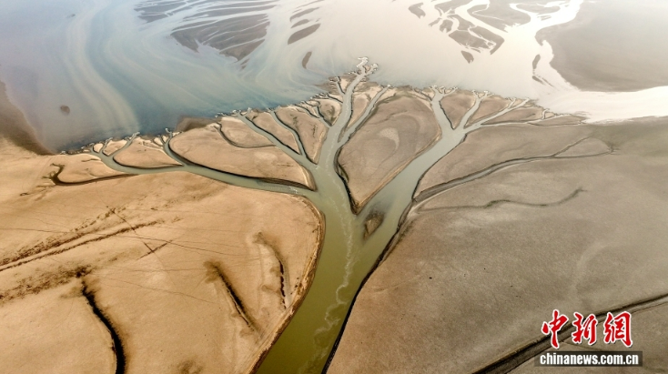 На озере Цзиньси появилось «мировое древо»