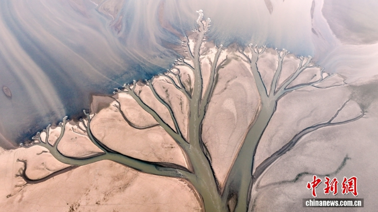 На озере Цзиньси появилось «мировое древо»