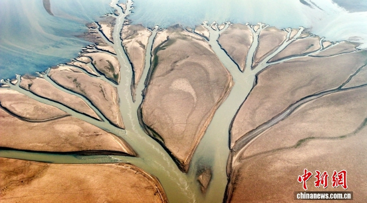 На озере Цзиньси появилось «мировое древо»