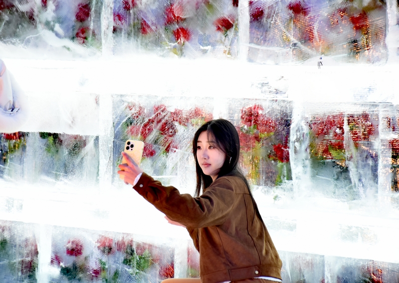 Розы во льду «расцвели» в Харбине