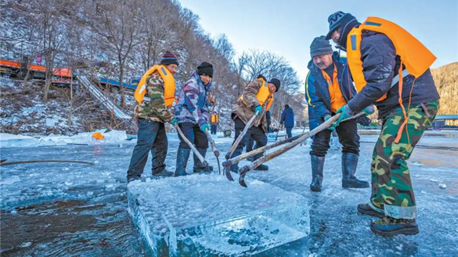В Пекине началась заготовка льда для Фестиваля ледяных фонарей Лунцинся                    20 декабря на озере Ванъюху в живописной зоне Юйдушань района Яньцин Пекина состоялась церемония начала заготовки льда для 40-го Фестиваля ледяных фонарей Лунцинся.