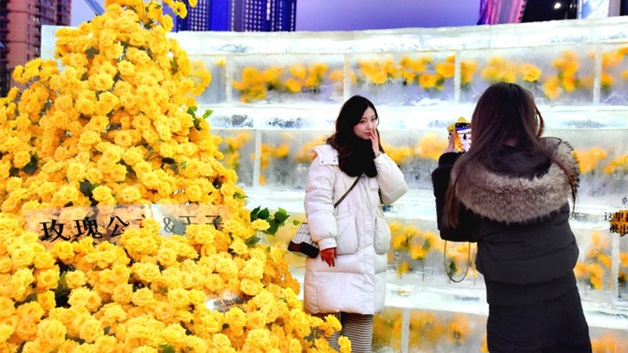 Розы во льду «расцвели» в Харбине                    Недавно композиция из роз, замороженных в ледяных кубах, вновь появилась на площади у торгового центра «Ваньда» в районе Наньган города Харбин /провинция Хэйлунцзян, Северо-Восточный Китай/, привлекая множество горожан и туристов.