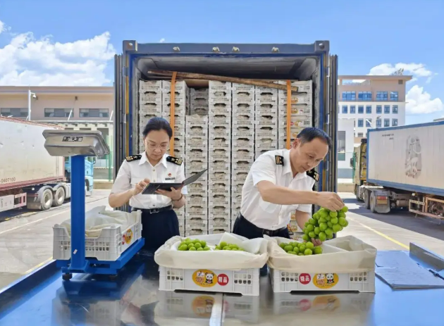 Китайская сельхозпродукция завоевывает мировой рынок