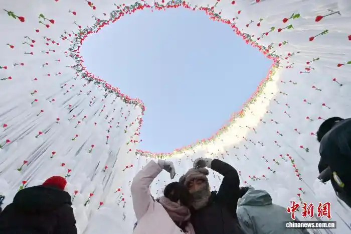 В провинции Цзилинь расцвело «ледяное сердце»