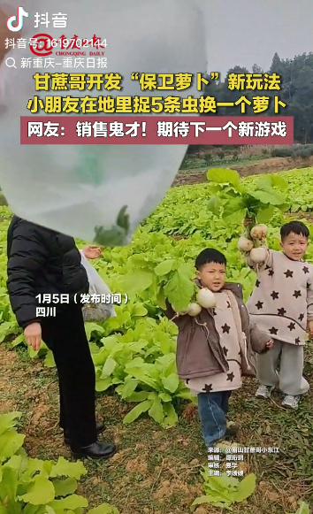 Креативный фермер из Сычуани привлек внимание, превратив сбор урожая в интерактивную акцию