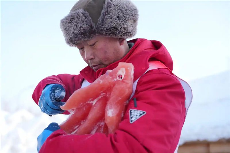 В Харбине представили цветные ледяные скульптуры с использованием растительных красителей