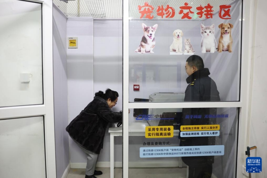 Китайские высокоскоростные поезда расширяют услуги перевозки домашних животных в период «чуньюнь»