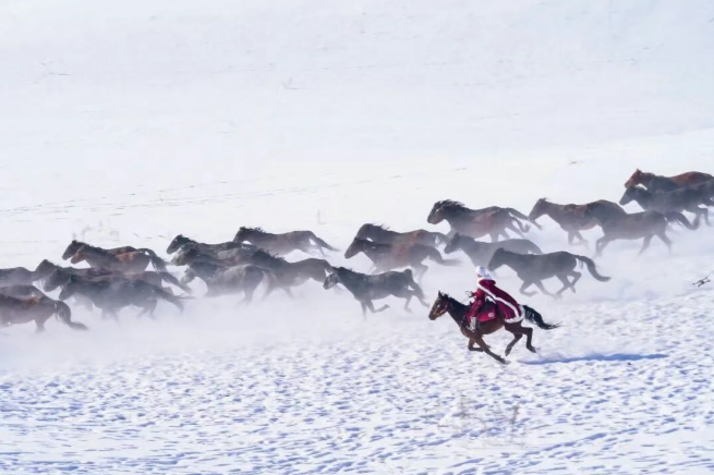 Хэ Цзяолун посмертно удостоена звания «Выдающийся член КПК Синьцзян-Уйгурского автономного района»
