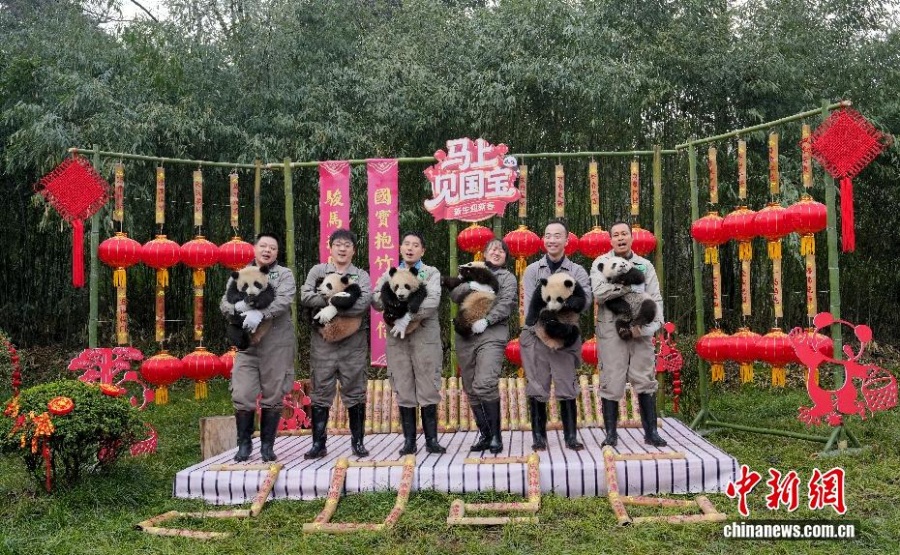 30 детенышей большой панды поздравили Китай с наступающим Новым годом