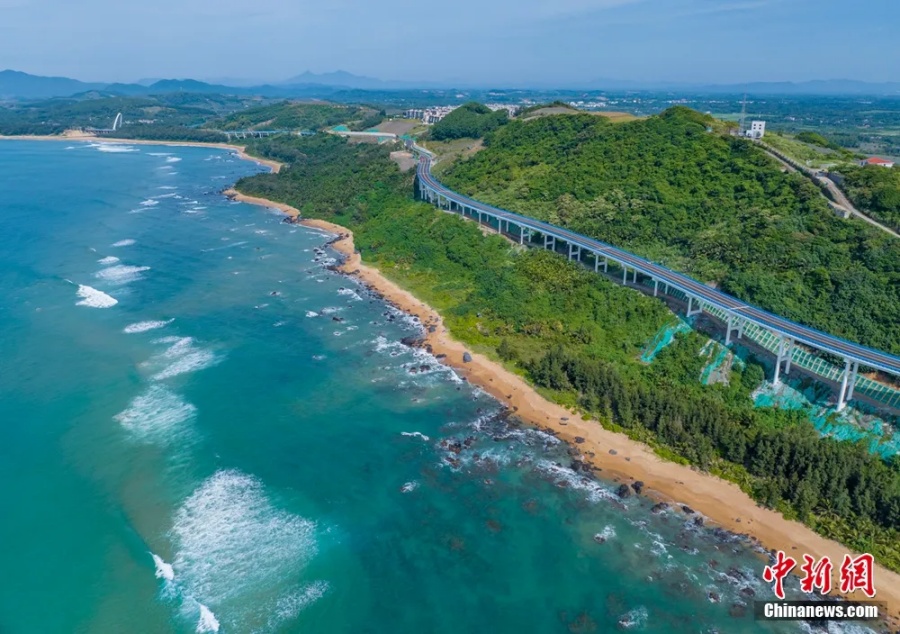 На Хайнане небольшой поселок создал настоящую «ананасовую империю»