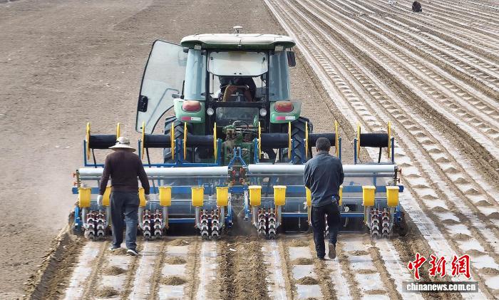 В Синьцзяне начались масштабные работы по посеву хлопка