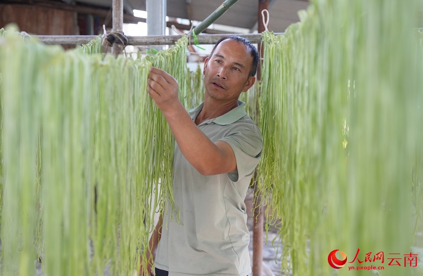 Сушеный стеблевой салат стал секретом процветания китайской деревни Санбулао