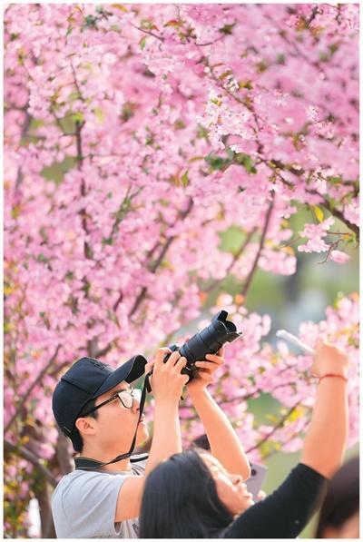 «Цветные прогулки» набирают популярность среди молодежи Китая