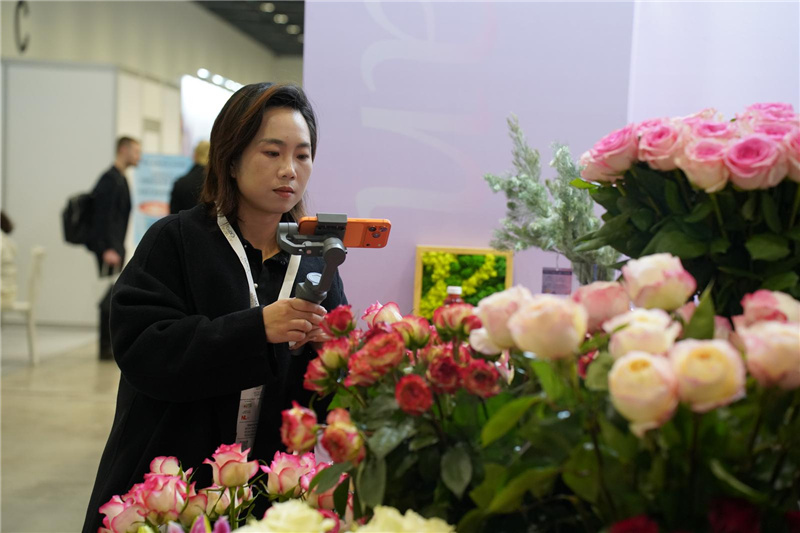 Цветы из Юньнани представлены на международной выставке в Казахстане