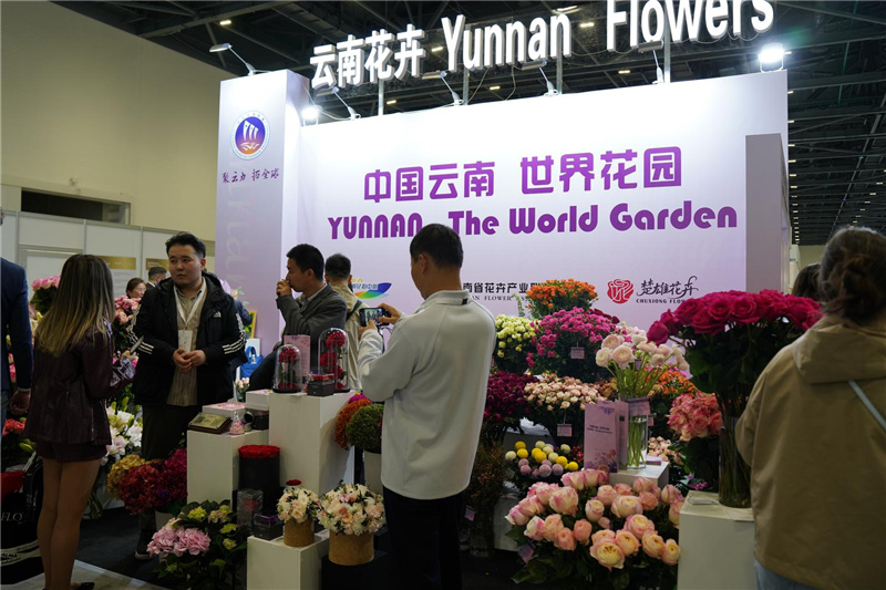 Цветы из Юньнани представлены на международной выставке в Казахстане