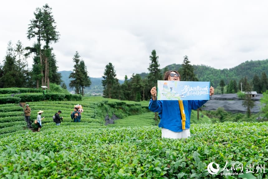 Матча из китайского уезда Цзянкоу покоряет 54 страны мира