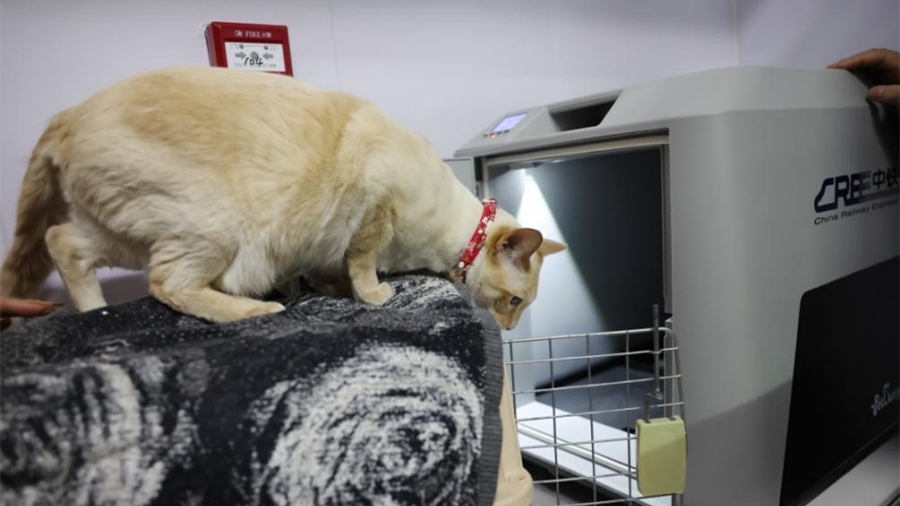 Китайские высокоскоростные поезда расширяют услуги перевозки домашних животных в период «чуньюнь»                    2 февраля в Китае стартует период «чуньюнь» – сезон особого режима работы транспортной системы в Китае при массовой миграции китайского населения до, во время и после праздника Весны.