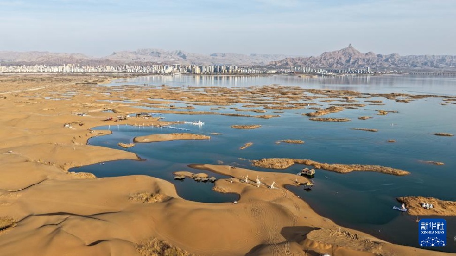 Пустыня, город и стаи чаек: уникальный весенний пейзаж во Внутренней Монголии